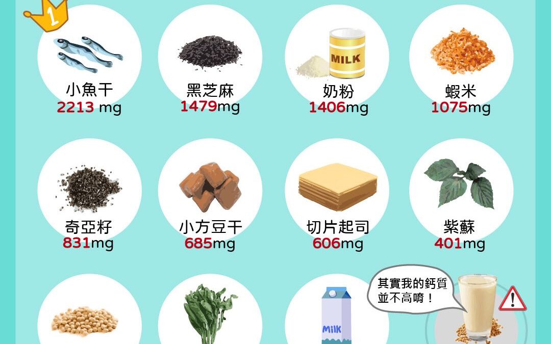 讓你骨質保健的高鈣食物