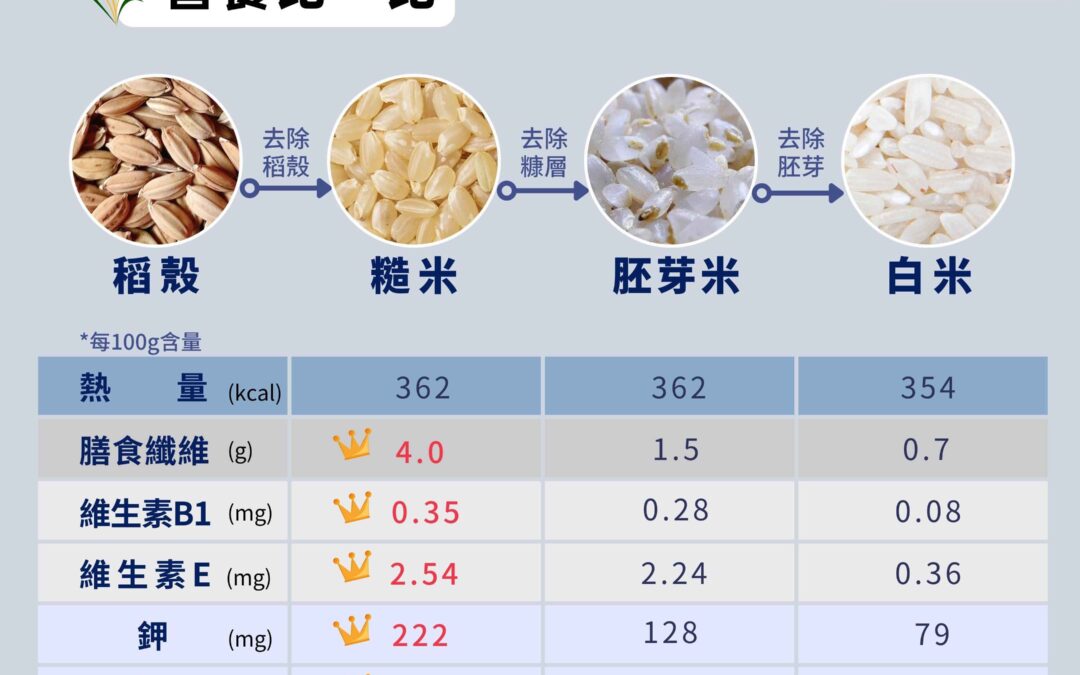 一粒米的故事，營養比一比